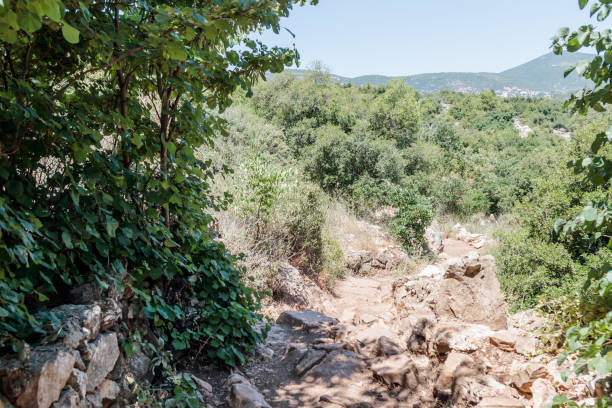 istock Path  passing through a wooded slope and descending to the Amud River 801827314