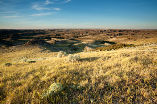 Beautiful Grasslands National Park, Saskatchewan Canada. image taken from a tripod.