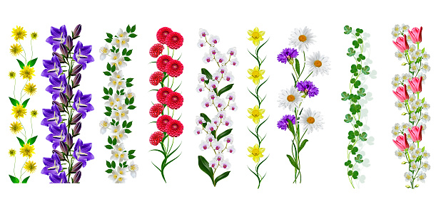 Sprigs of flowers isolated on white background.