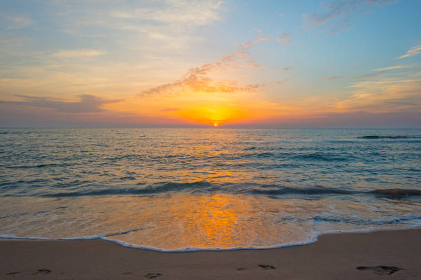 istock Sunrise over sea and sandy beach in spring 801850378