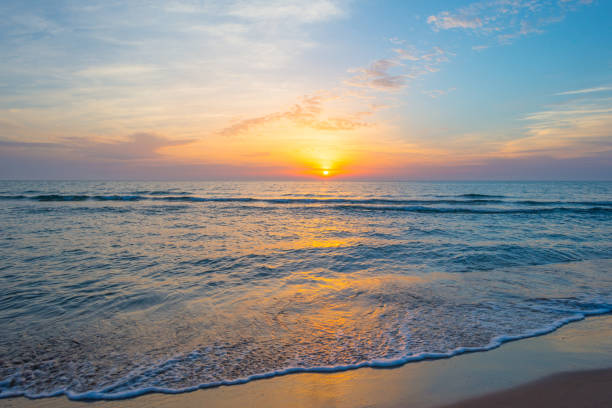 istock Sunrise over sea and sandy beach in spring 801853140