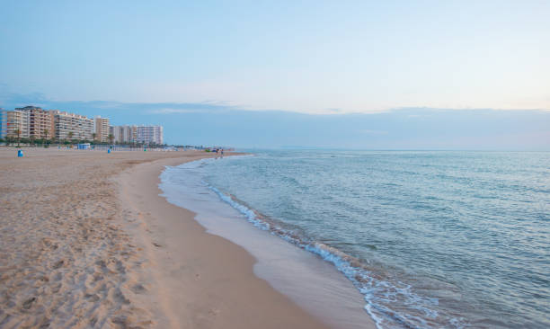 istock Sunrise over sea and sandy beach in spring 801855640