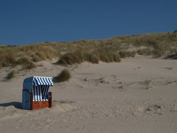 istock beach of langeoog 801858900