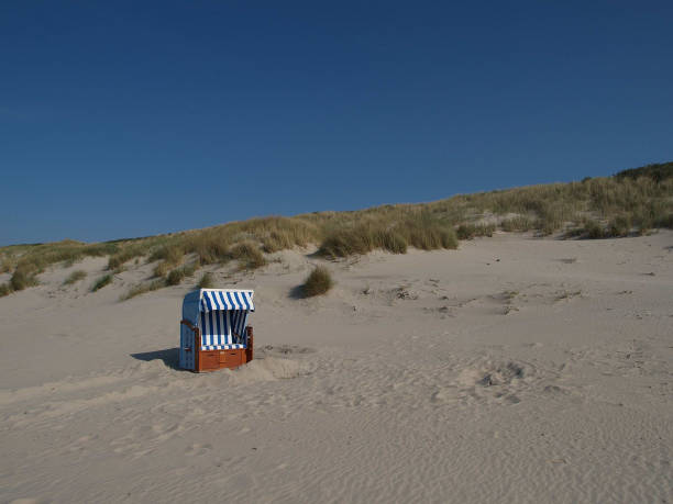 istock beach of langeoog 801859010