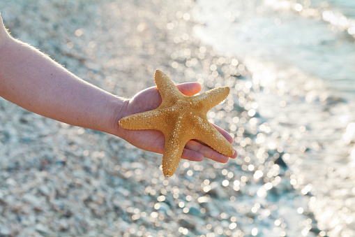 Male hand holding a starfish or sea star against magic summer bokeh background.