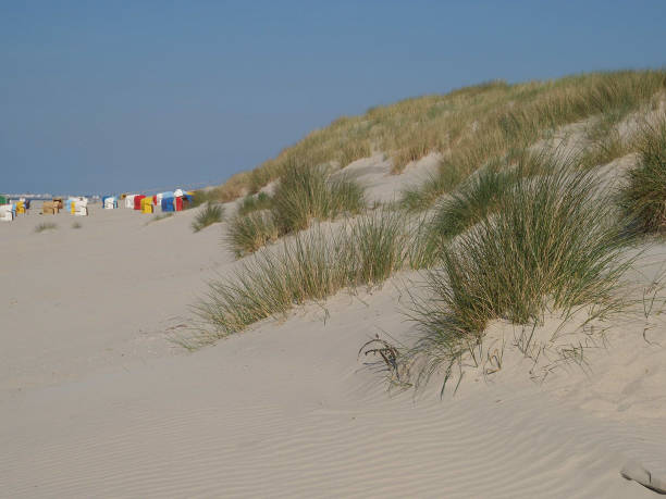istock beach of langeoog 801859530