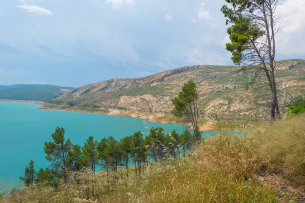 Reservoir dammed in a vally in summer