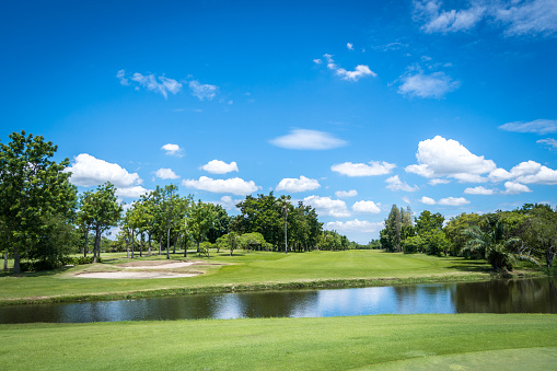 landscape of golf course in summer