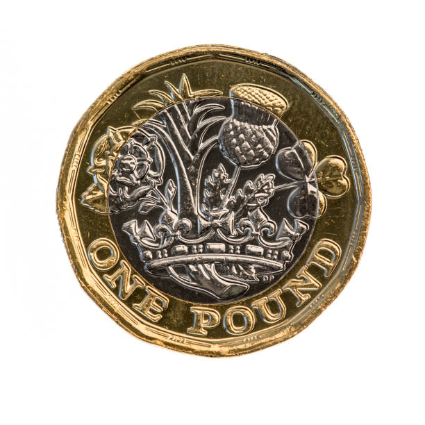 イギリスの 1 ポンド コイン - ストック イメージ - british coin ストックフォトと画像