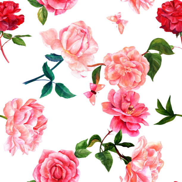 Seamless pattern with watercolor flowers and butterflies on whit A seamless pattern with watercolor drawings of blooming red and pink roses, camellias, peonies, and butterflies, hand painted on a white background in the style of vintage botanical art english culture illustrations stock illustrations