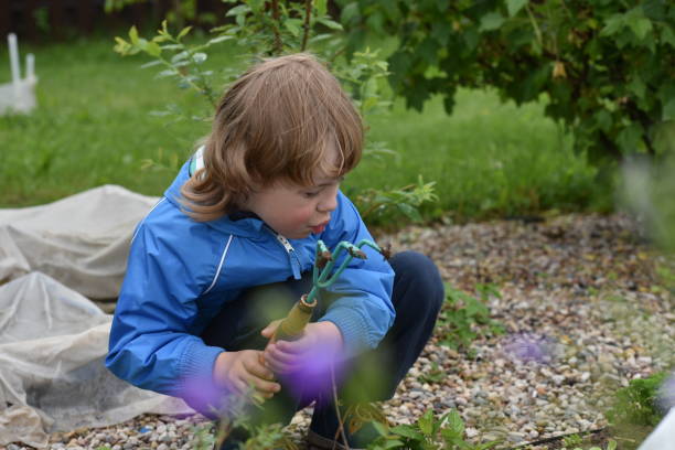 istock Boy in the garden to the cottage 801869416