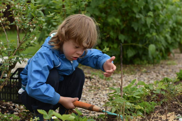 istock Boy in the garden to the cottage 801869608