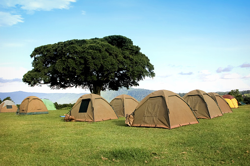 Campground in the mountains of the Ngorongoro crater . Africa. Tanzania.
