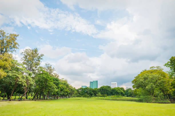 istock green grass field in big city park 801875194