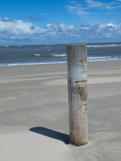 istock the beach of norderney 801881420