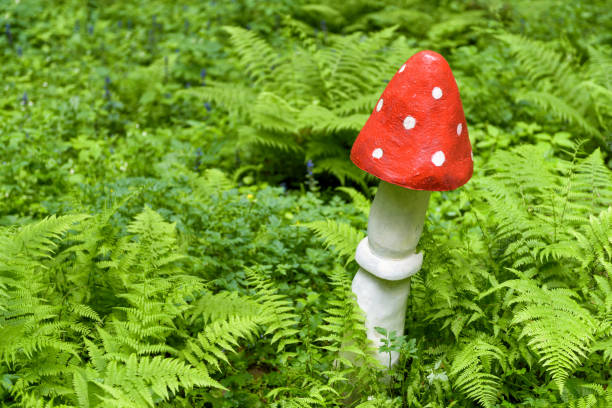 istock Landscaping with a wooden mushroom 801881600
