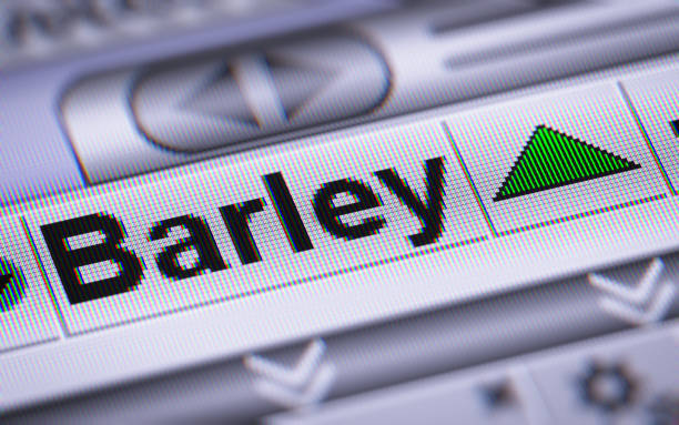 istock The Index of Barley on The Screen. 801884240