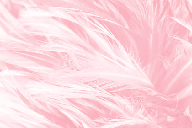 istock Coral Pink vintage color trends feather texture background 801889248