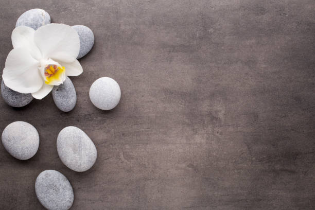 istock White orchid and spa stones on the grey background. 801892658