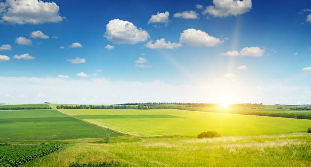 istock hilly terrain, spring field and sunrise on blue sky 801902362