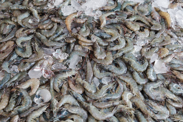 istock Fresh shrimp seafood in the market 801906082