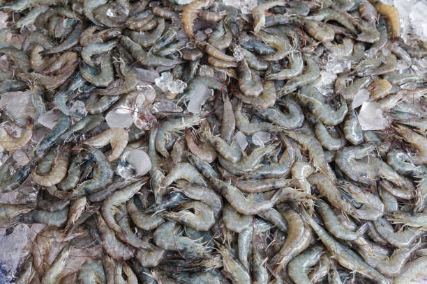 istock Fresh shrimp seafood in the market 801906086