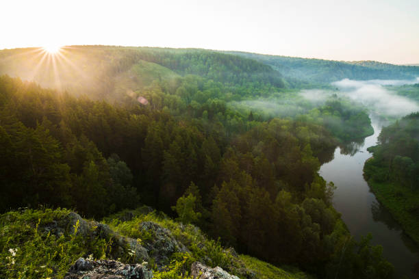 istock Sunrise over the trees in the fog 801927136