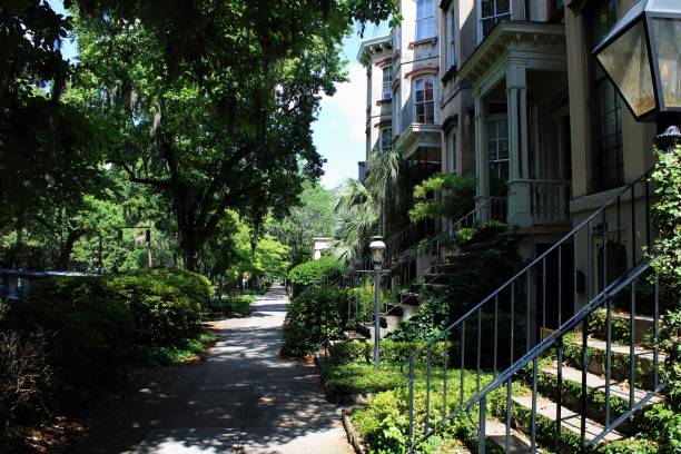 istock Tree lined street, Savannah, Georgia 801936610