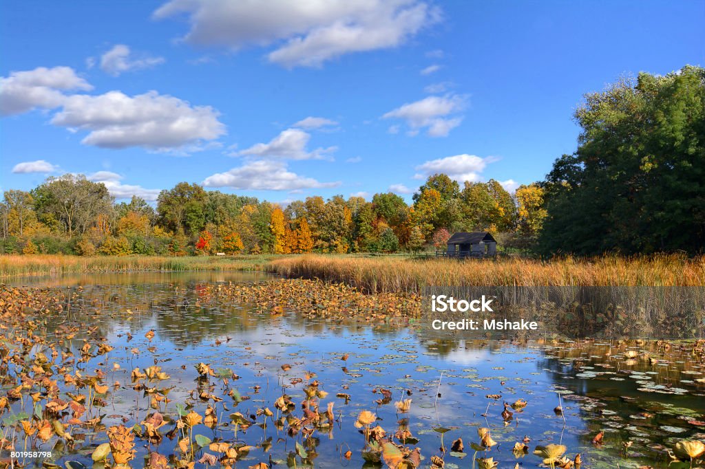 W.W. Knight Nature Preserve Beautiful autumn scene at a tranquil fishing pond in Ohio. The pond features a rustic shelter house. Located in the W.W. Knight Nature Preserve. Ohio Stock Photo
