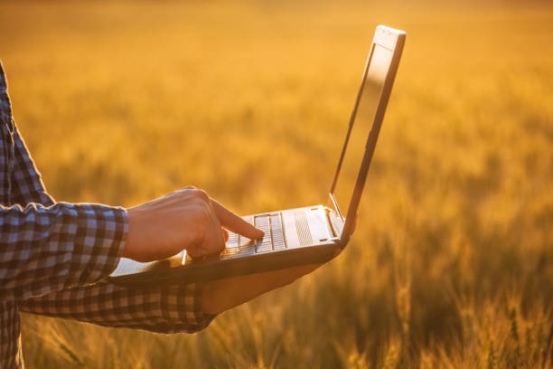 empresario está en un campo de trigo maduro y tiene una laptop en sus manos. - farmer rural scene laptop computer fotografías e imágenes de stock
