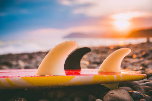 istock Surfboard on a beach with sunset or sunrise colors. 802004388