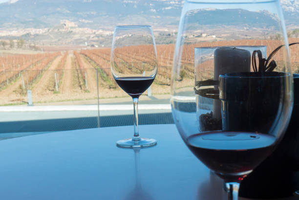 istock Wineyard sited in la rioja spain 802005306