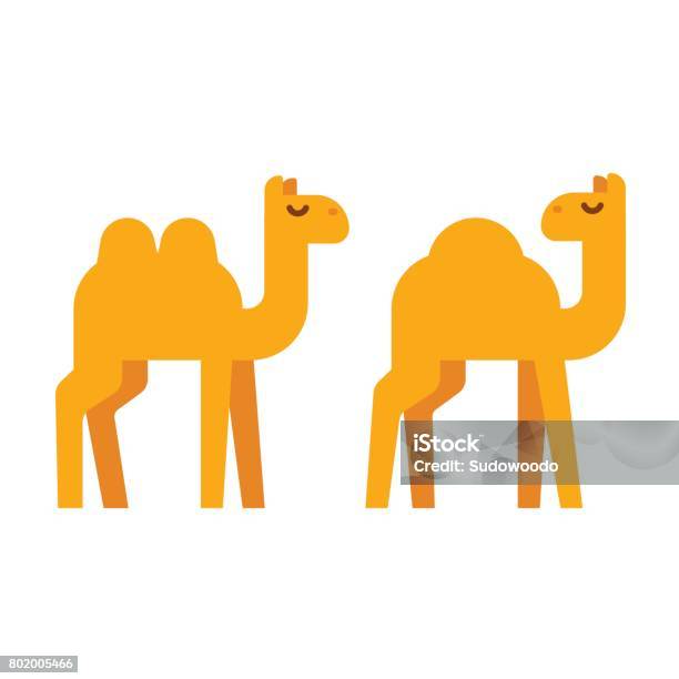 Ilustración de Ilustración De Dibujos Animados Camellos y más Vectores Libres de Derechos de Camello - Camello, Giba, Ícono