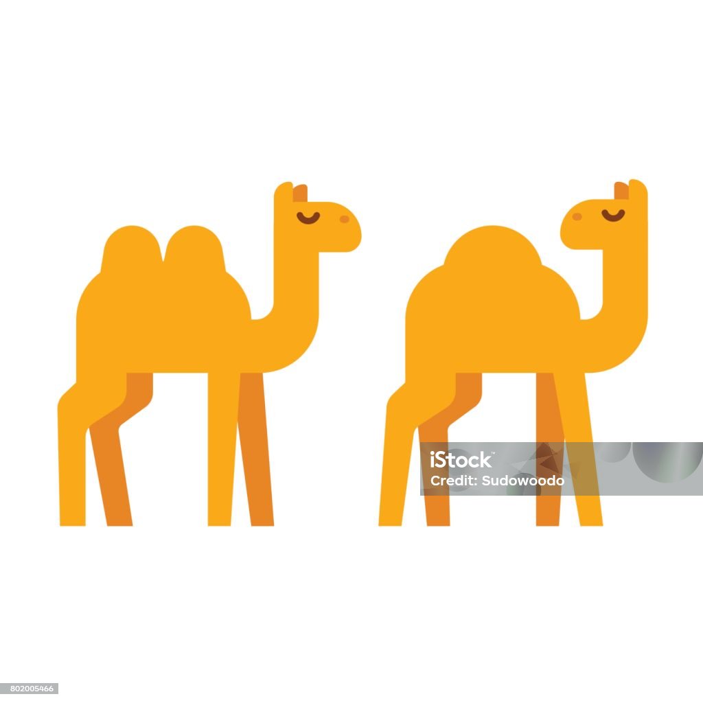 Cartoon camel illustration Simple cartoon camel illustration in flat geometric style. One humped dromedary and two-humped camel. Vector clip art. Camel stock vector