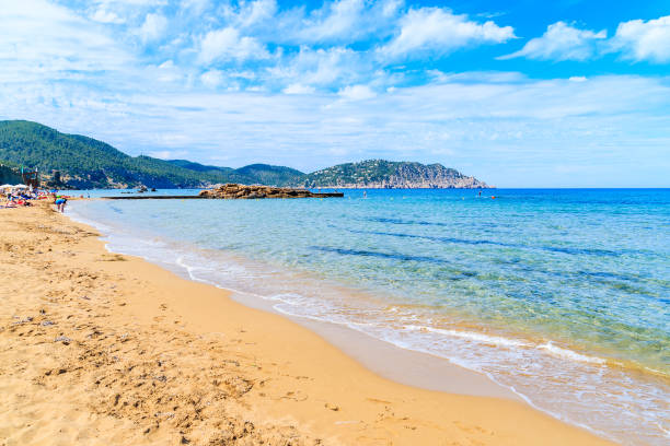 istock Sandy Es Figueral beach, Ibiza island, Spain 802007684