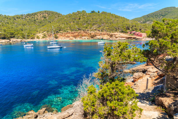 istock Coastal path in Cala Salada bay, Ibiza island, Spain 802013408