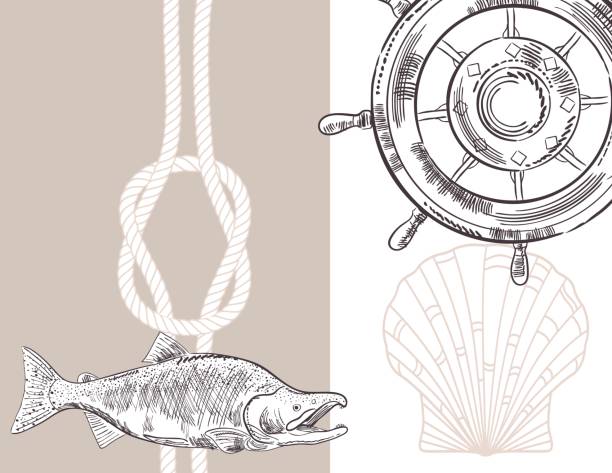 Hand Drawn Backgrounds With Nautical Elements