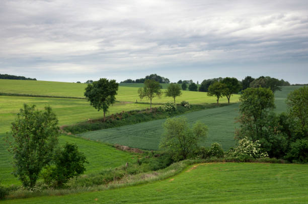 istock Landscape near Wijlre 802035928