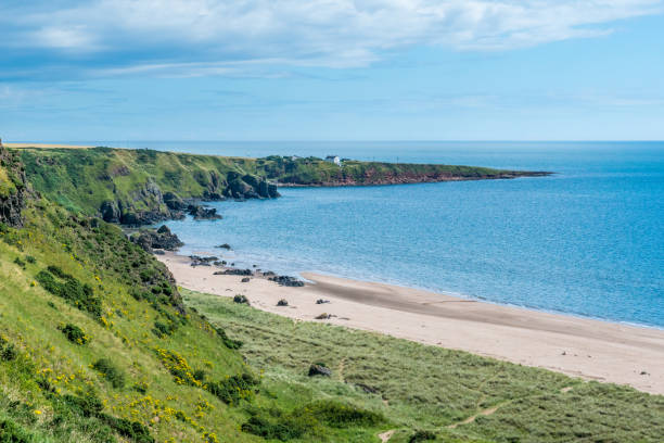 istock Headland at St. Cyrus beach. 802048074