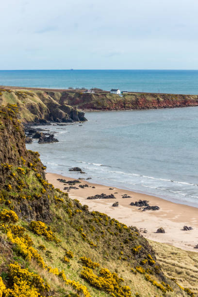 istock St. Cyrus cliff and headland. 802048214