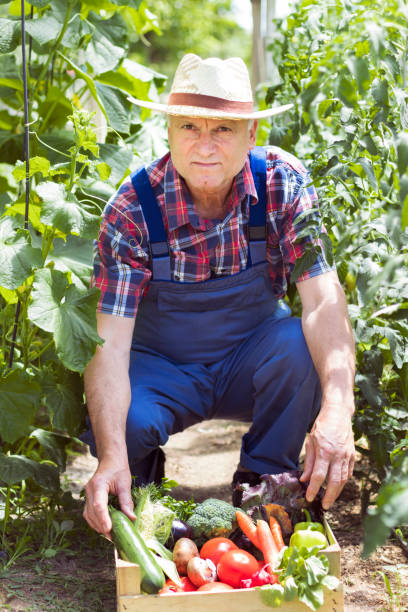 istock Farmer carrying full box of organic vegetable 802051126