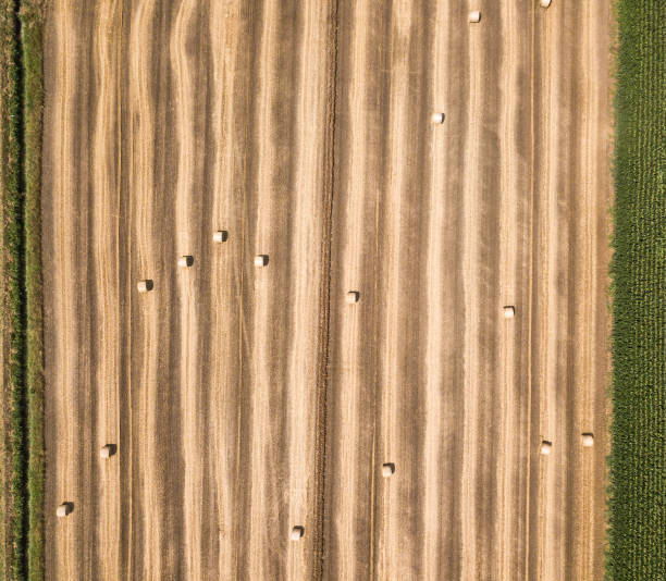 Aerial view of hay bales
