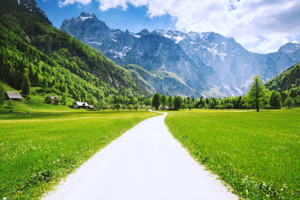 istock Logar valley or Logarska dolina, Slovenia, Europe. 802071790
