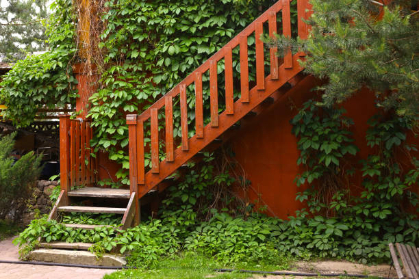 istock summer country porch with ivy 802083278