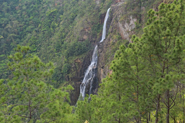 istock 1000 Foot Falls - Waterfalls in Belize 802109664