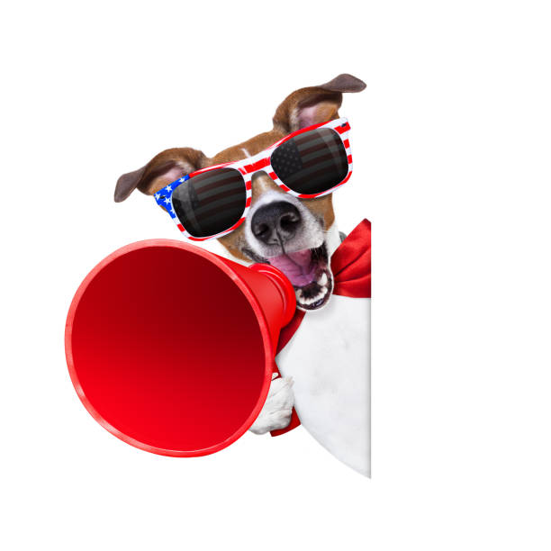 istock independence day 4th of july dog 802114648