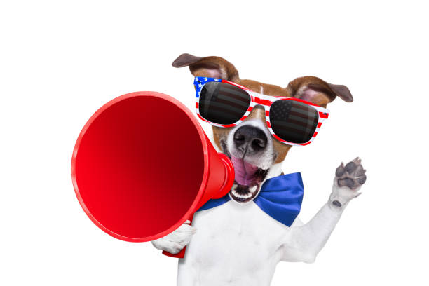 istock independence day 4th of july dog 802114654