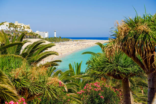 istock Beach Playa de Morro Jable on Fuerteventura, Spain. 802116872