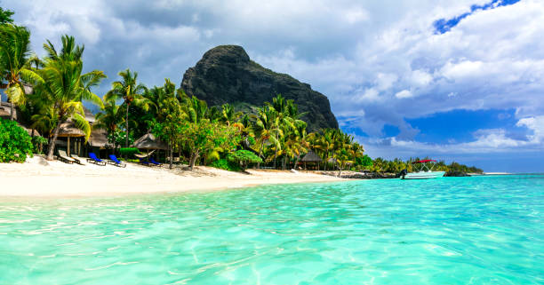 istock beautiful Mauritius island. Le Morne beach 802139344