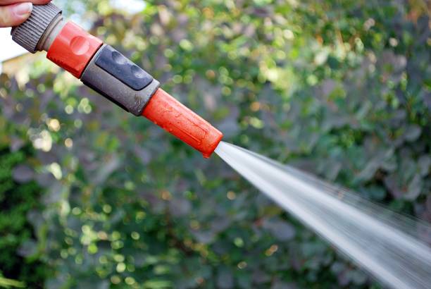 istock Water spraying from a garden hose 802153714